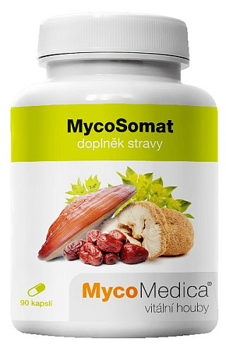 MYCOMEDICA MYCOSOMAT 90 KAPSLÍ