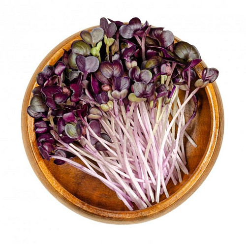 inGreen Microgreens set 2+2 ZELÍ ČERVENÉ