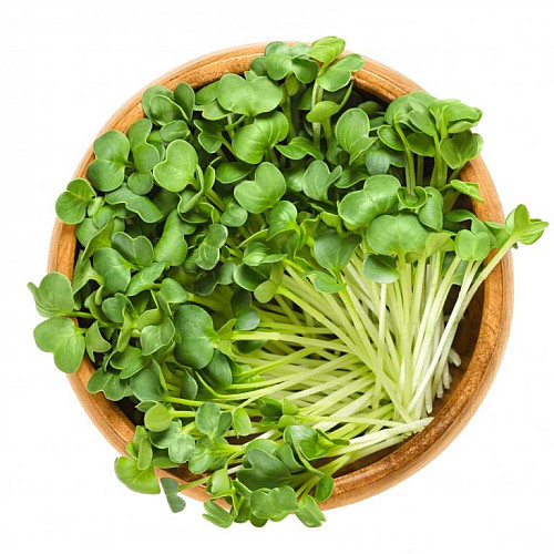 inGreen Microgreens set 2+2 ŘEDKVIČKA