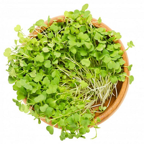 inGreen Microgreens set 2+2 RUKOLA
