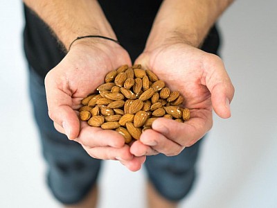 Ořechy - pomocník zdravého životního stylu