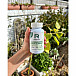 Reflex Nutrition Supergreens & Gut Support (podpora zažívacího traktu) 90 kapslí
