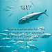 Ancient+Brave Wild Marine Collagen Box 15 x 5 g