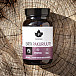 Puhdistamo Earth Chaga BIO 60 kapslí (PAKURIUUTE)
