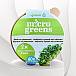 inGreen Microgreens set 2+2 ŘEDKEV DAIKON