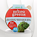 inGreen Microgreens set 2+2 MIZUNA ČERVENÁ