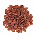NUTTY Mandle pražené solené se slupkou 150 g