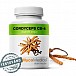 MycoMedica CORDYCEPS CS-4 (30 %) 90 kapslí