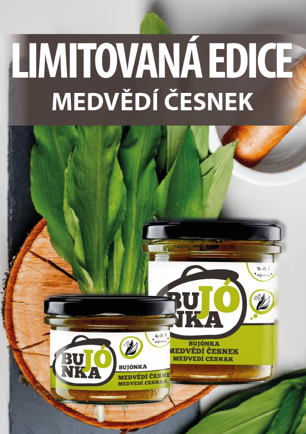 Medvědí česnek