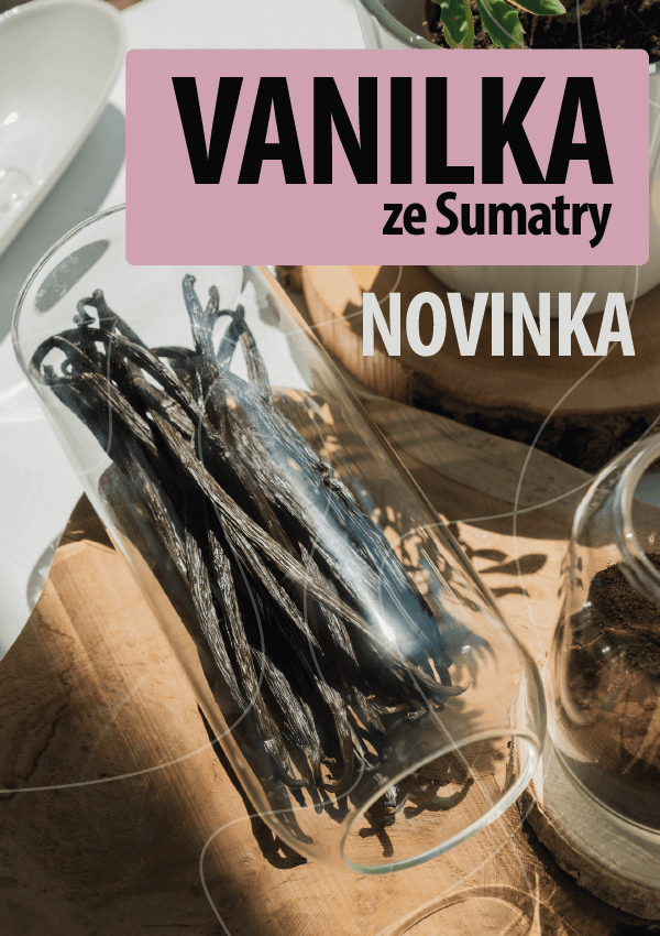 VANILKA